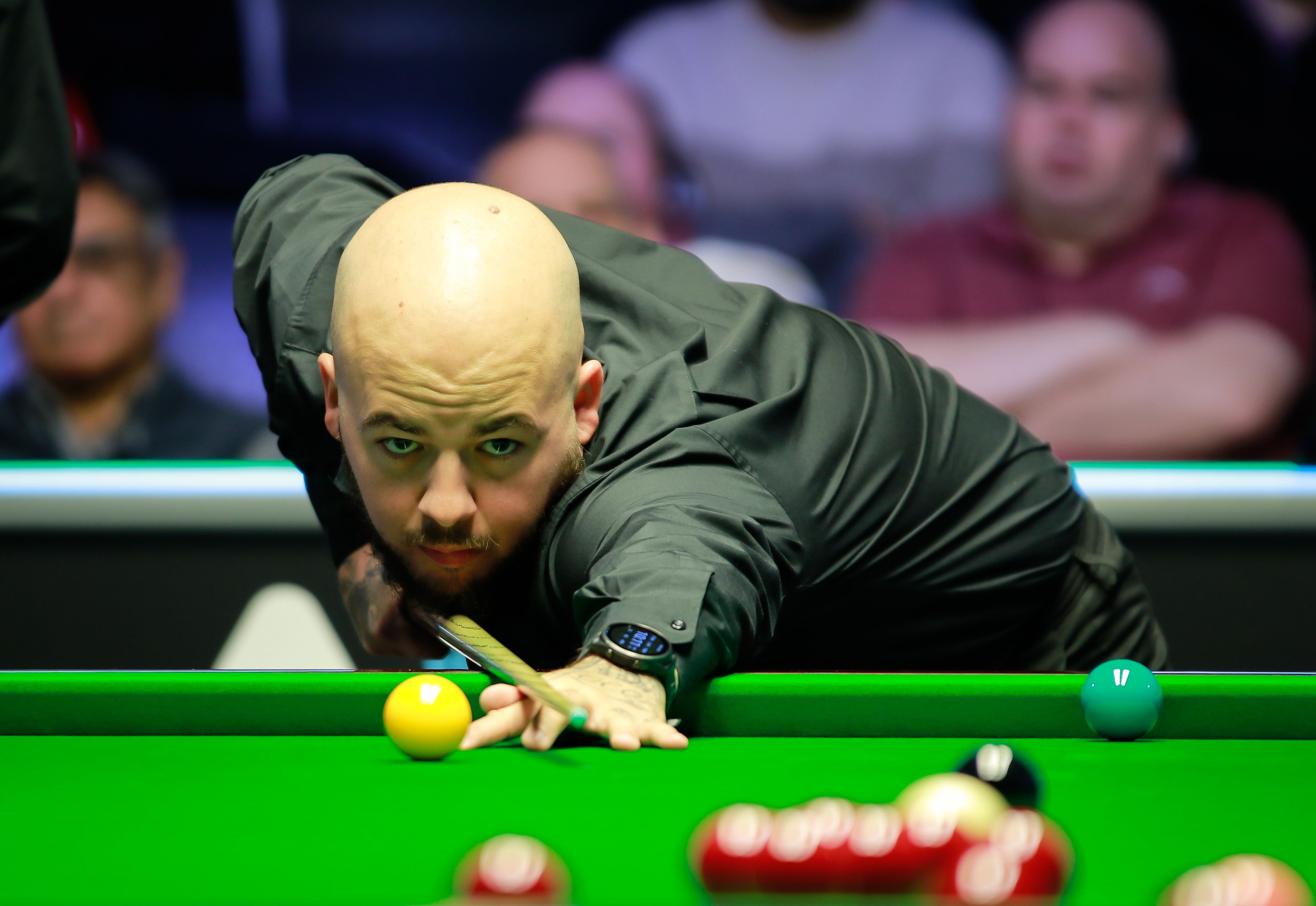 各自的特点 各自的特点